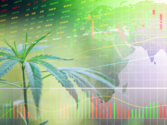 Was ist los mit Aurora Cannabis?