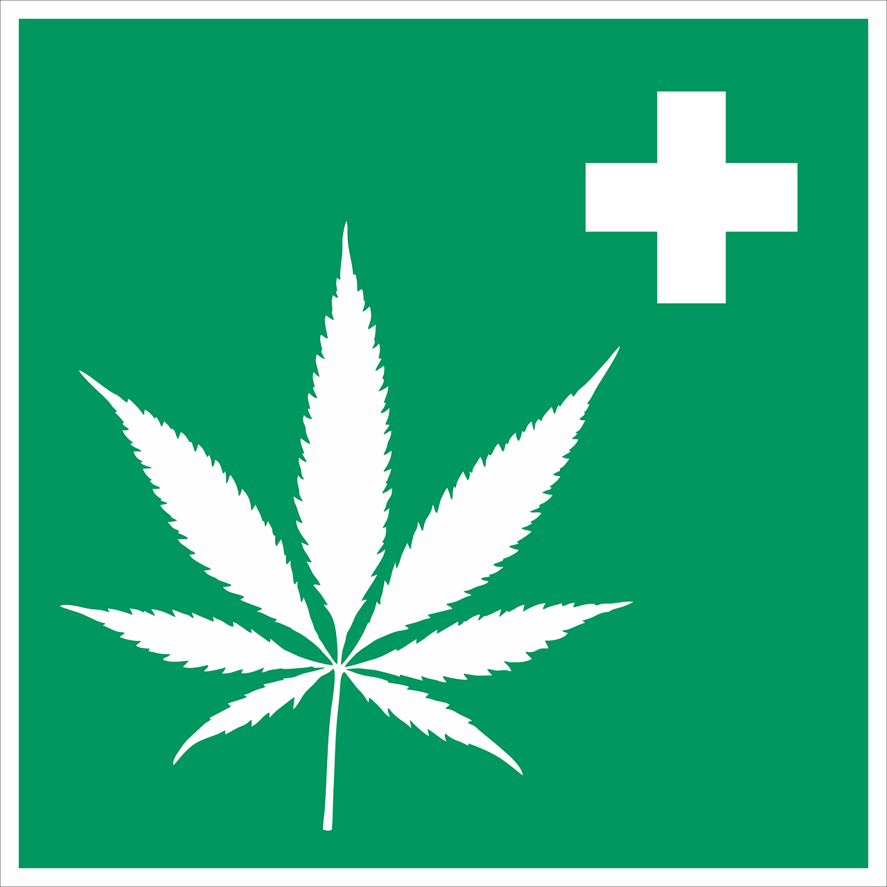 Cannabis und das Immunsystem Cannabis und das Immunsystem
